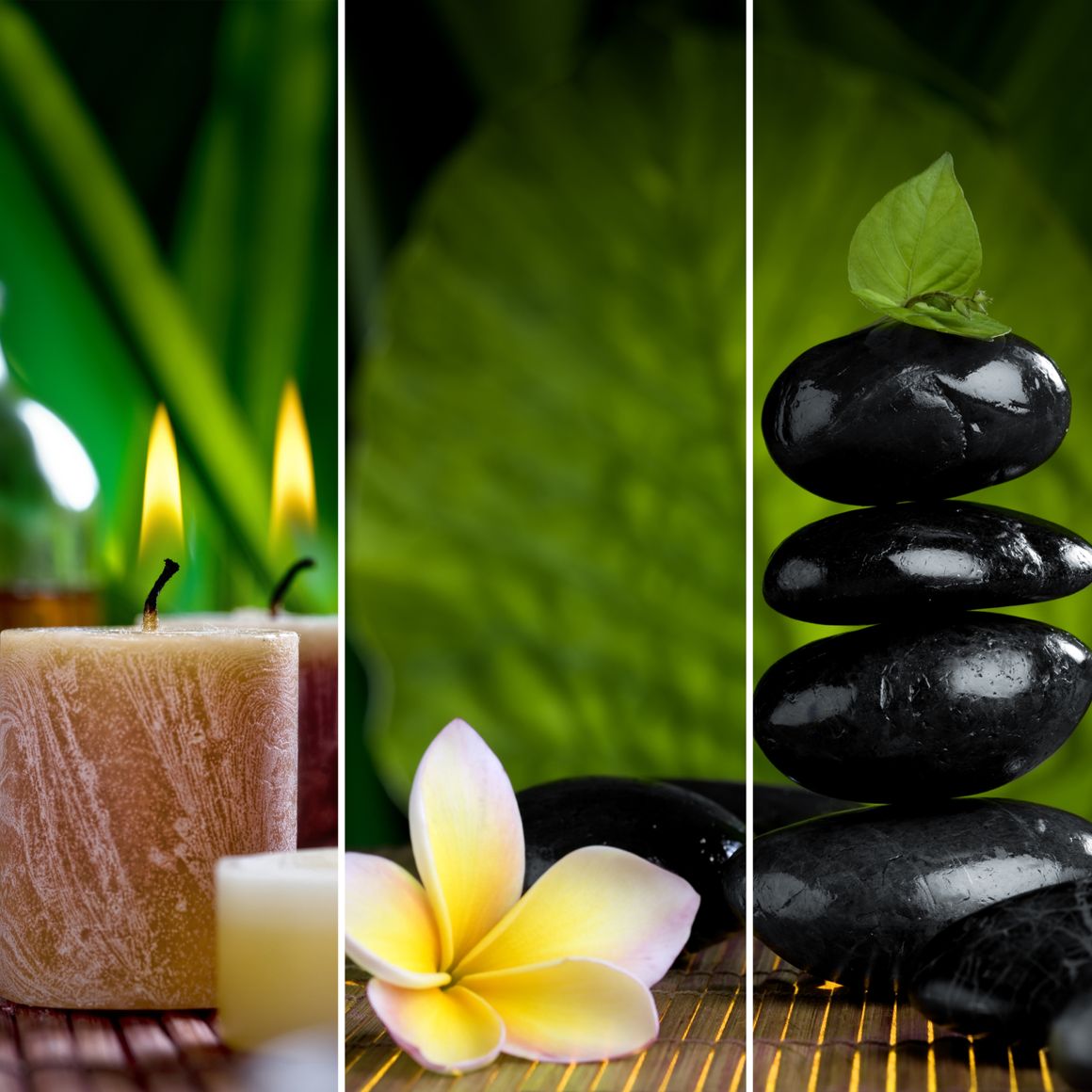 Voyages santé et bien-être