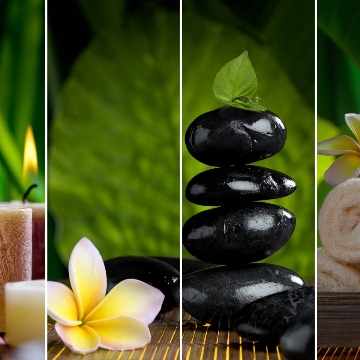 Voyages santé et bien-être